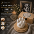 Pet Memorial Paw Casting Kit with Presentation Plinth & Keepsake Chest